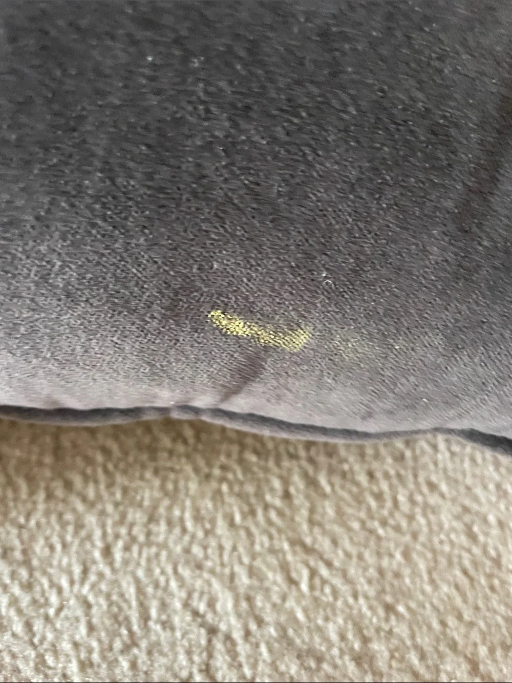 Ralph Lauren y2k velour  Dark Gray Accent Throw Pillow - Versatile Home Accent